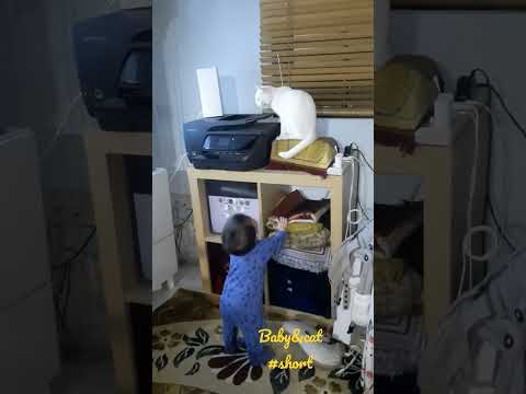 baby&cat #shorts #alia#she is pleading the cat.