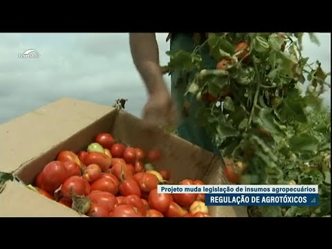 Comissão de Agricultura realiza terceira audiência pública sobre novas regras de agrotóxicos