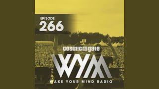 Angel Falls (WYM266) (Somna Extended Remix)