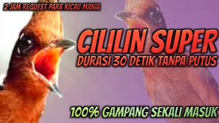 Download lagu CILILIN SUPER NGEROLL 30 DETIK TANPA PUTUS COCOK UNTUK KAWAL BAHAN KICAU MURAI BATU CENDET CUCAK IJO mp3 Download lagu CILILIN SUPER NGEROLL 30 DETIK TANPA PUTUS COCOK UNTUK KAWAL BAHAN KICAU MURAI BATU CENDET CUCAK IJO mp3