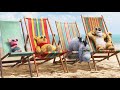 Not Doing Nothing Anymore (Christopher Robin Soundtrack)