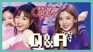 [Hot Debut] Cherry Bullet -  Q&amp;A, 체리블렛 - Q&amp;A Show Music core 20190126