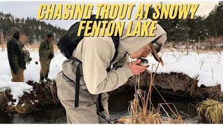 Winter Trout Fishing Adventure at Fenton Lake #rainbowtrout #newmexico #flyfishing