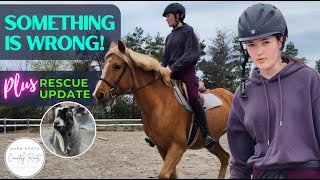 SOMETHING IS WRONG! | VLOG