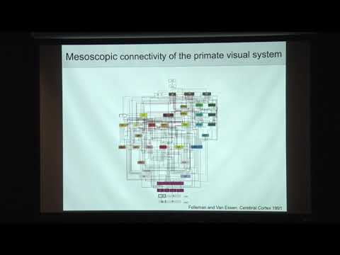 Gabriel Kreiman (Harvard Medical School) - Peeking Inside the Brain to Develop the Next Gen. of AI