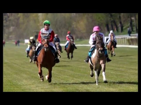 Elizabet 4 - Dostih poníků