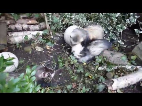 Frühling im Dezember