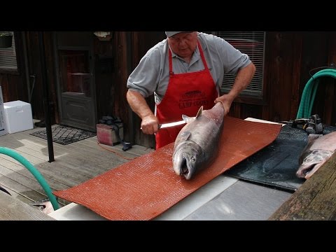 How to Fillet a Big Salmon and Prepare it for Smoked Salmon Recipe