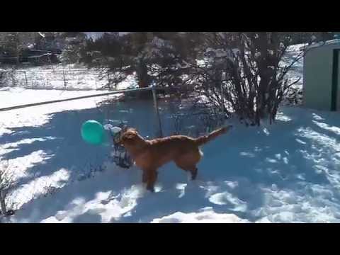Bender vs the Balloon