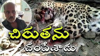 చిరుత ను చంపిన 62 ఏళ్ల వృద్ద హీరో// 62yrs old man killed Cheeta// Stv surya.media