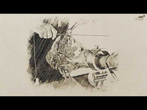 Video tutorial on Ham Cutting VARANEGRA 100% ALENTEJANO