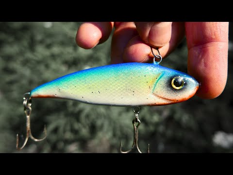 ZANDER MADNESS - One Lure That Ruled Them All