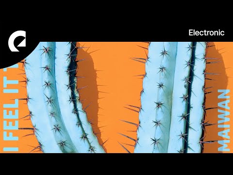 Maiwan - I Feel It Too