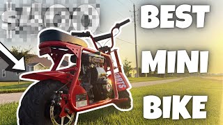 Best Budget Mini Bike You Can Get! – Hoverhearts Gas Bike Tested!