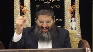 הרב אופיר טנג'י - מוסר בפרשה - פרשת כי תבוא - הכי חשוב מידות !!!!