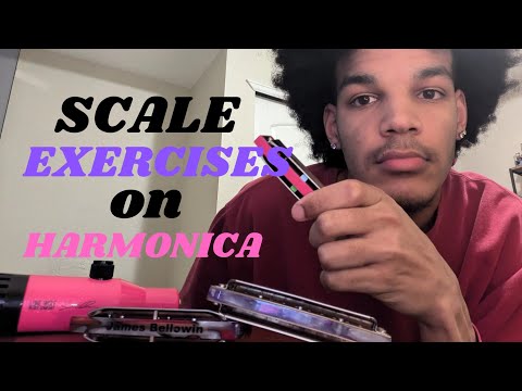 Scale Exercises To Get Better On The Harmonica (Intermediate)