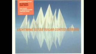 Lightning Seeds - Sugar Coated Iceberg