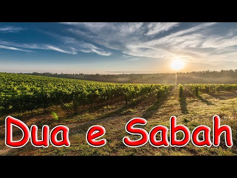 Dua e Sabah Beautiful Quick Recitation | Dua Sabah | Morning Dua