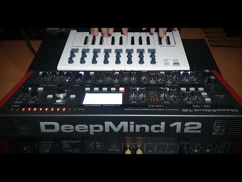 Behringer Deepmind12D - NO TALKING demo