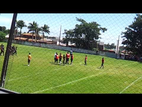 Londrina Bristlebacks 59 x 32 Cascavel Red Snakes - Amistoso