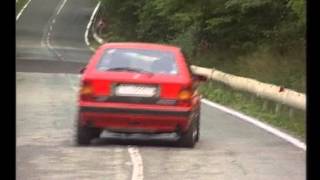 preview picture of video 'Lancia Delta alla Mandria'