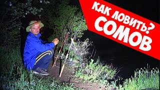 Рыбалка на сомов с донками ночью