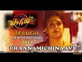 POGARU | Praanamichinaavu Telugu | 2021 | Amma | Rashmika Mandanna | Emotional | Gummineni Vijay