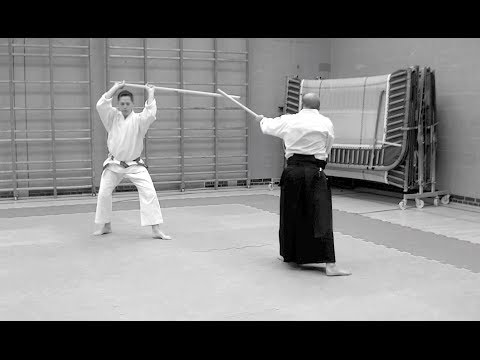 31 Movement Kata and Paired Exercises (Kumi-Jo)