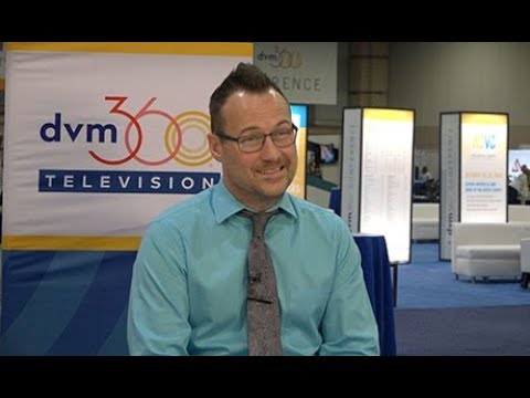 Is your veterinary clinic OSHA compliant? Here's what your team needs to know