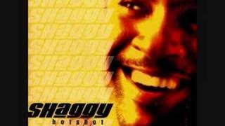 Shaggy--Keep&#39;n It Real
