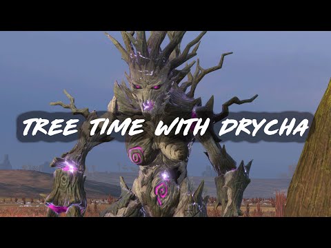 Tree Time with Drycha - Total War Warhammer 3