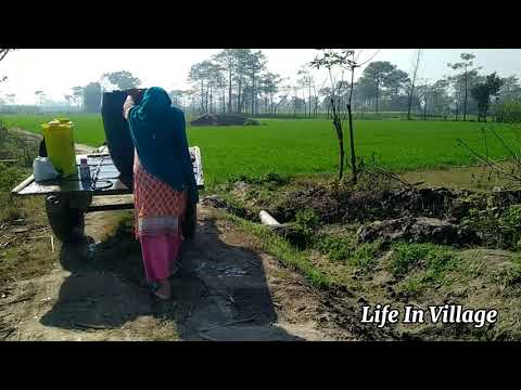 Most Beautiful Natural Scenes in the World |Life In Village Pakistan| Beautiful Greenery
