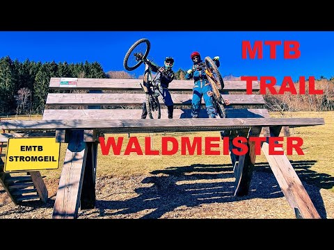 MTB Trail in Hattgenstein - Cube Stereo Hybrid 160 Actionteam