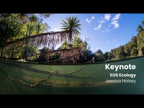 Keynote - Wai Connection in Canterbury