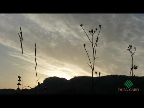 Entspannende Naturgeräusche aus dem Aries-Tal in Posaga