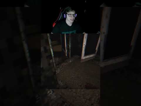 DFI 0 0 5 #reaction #gaming