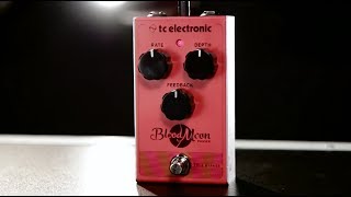 Video thumbnail for Tore Mogensen Demos the TC Electronic Blood Moon Phaser Pedal by Guitar Center