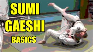 SUMI GAESHI BASICS