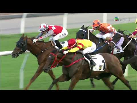 2021/22 (157) - Master Delight (喜譽寶) - 莫雷拉