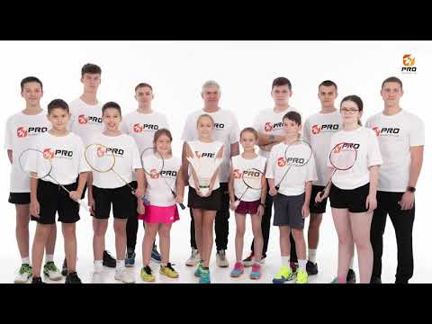 Pro Badminton Club. Training