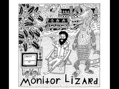 Monitor Lizard - Demo