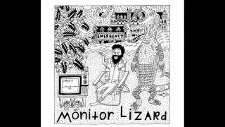 Monitor Lizard - Demo