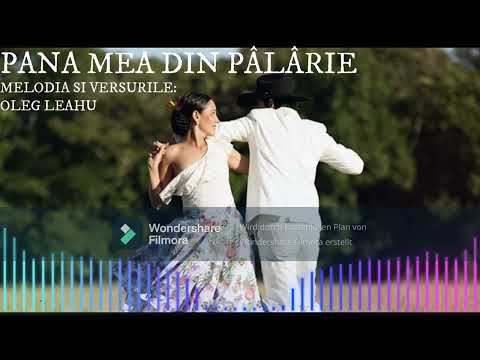 PANA MEA DIN PÂLÂRIE: OLEG LEAHU