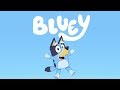 Bluey Theme Song Bluey
