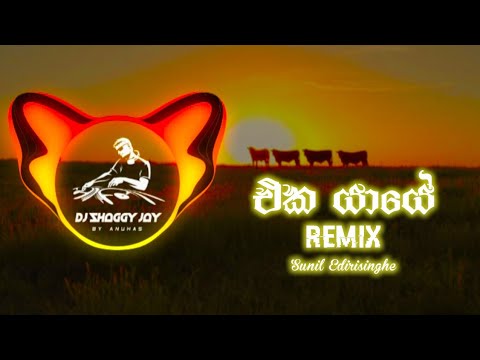 Eka Yaye (එක යායේ කකා වැටී) - Sunil Edirisinghe | Dj Shaggy Remix
