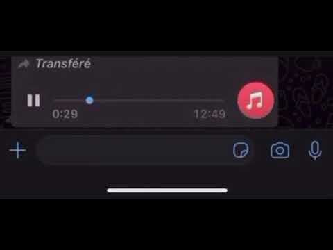 Mercenaire- Escobar🥶☔