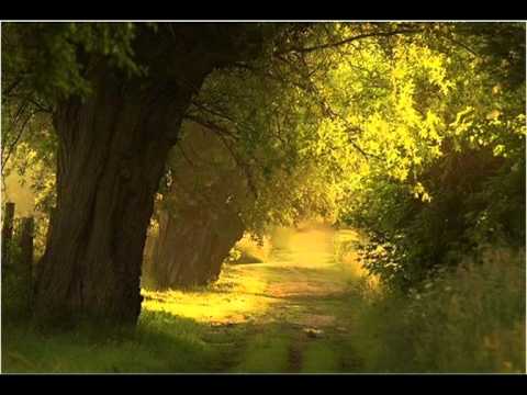 Waldemar Matuška Dobrou noc.mpg