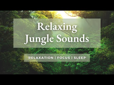 Relaxing Jungle Sounds - Tropical Amazon Rainforest - Sleep & Relaxation Nature Sounds - 1 Hour