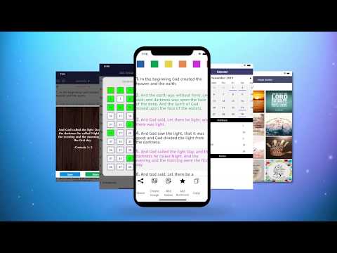 NIV Bible (International) Video