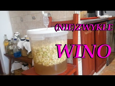 Domowe wino z jabłek na drożdżach piekarskich – czy to w ogóle działa?